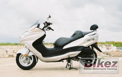 2011 Diamo Turista 300 photo